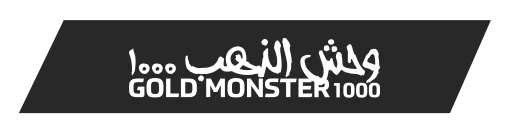 Mersin Minelab Gold Monster 1000 - Gold Monster 1000 küçük altın dedektörü